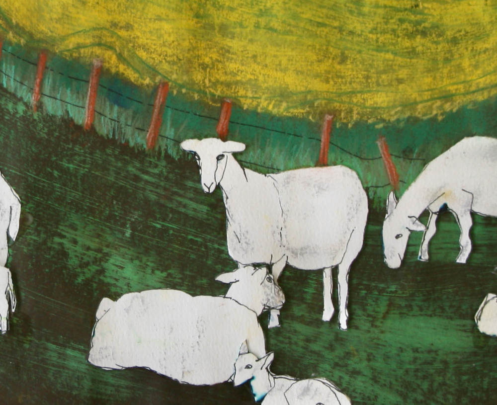 IMG_5615 sheep straigtenned